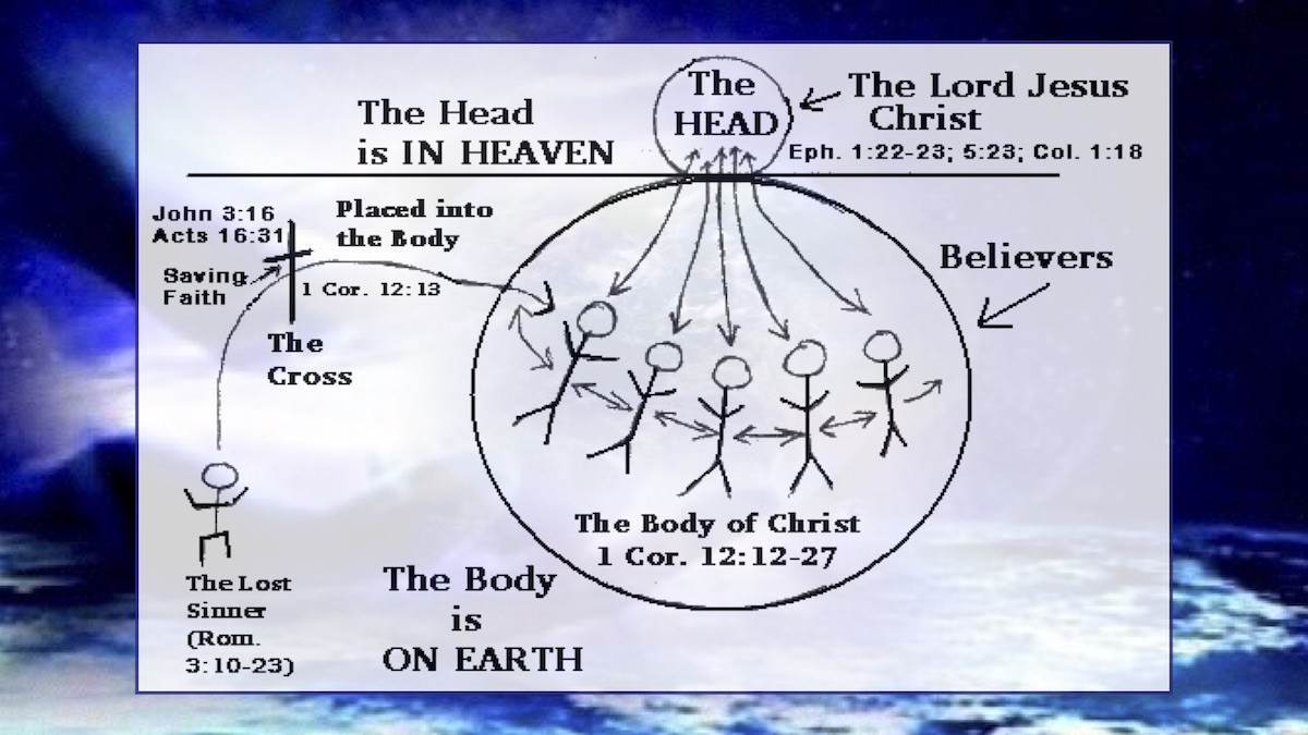 The Church the body of Christ4