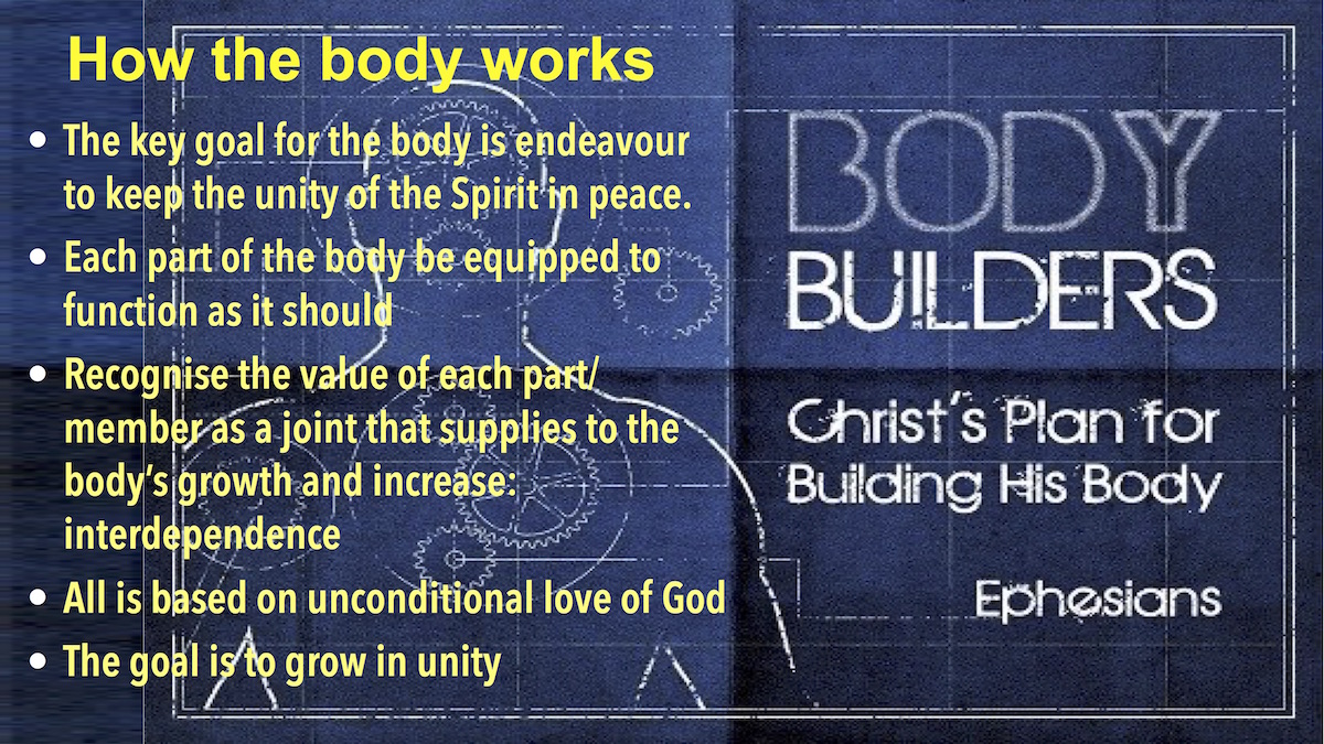 The Church the body of Christ6