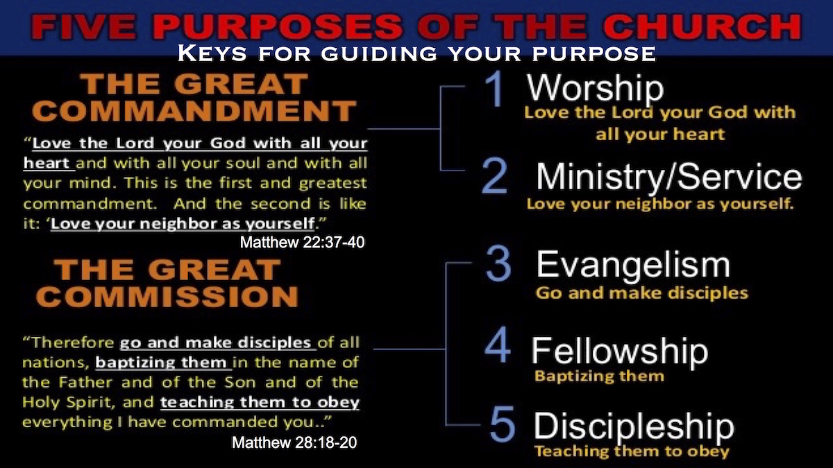Your place in the Body of Christ5
